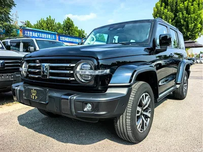 2023 Tank 300 Urban Edition 2.0T Very Stylish, фото 1, лот 10888160