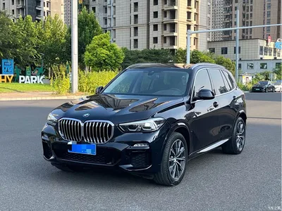 2020 BMW X5 (Import) xDrive30i M Sport Package, фото 2, лот 10429062