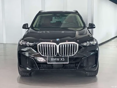 2023 BMW X5 xDrive 30Li Premium M Sport Black Night Package, фото 2, лот 10285232