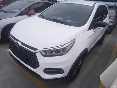2019 BYD Yuan New Energy EV535 Smart Connection Leading Type, фото 1, лот 10625053