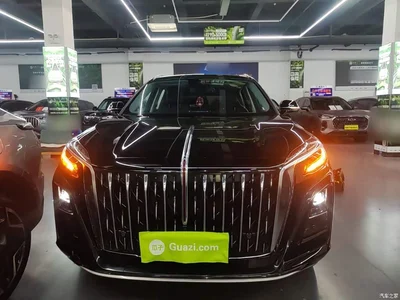 2024 Hongqi HS3 1.5T Virtue Edition, фото 3, лот 10307327