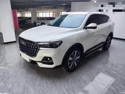 2023 Haval H6 National Trend Edition 1.5T Automatic Champion, фото 1, лот 10416974