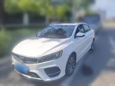2019 Geely Binrui 200T Manual Binshi Edition, фото 1, лот 10295081
