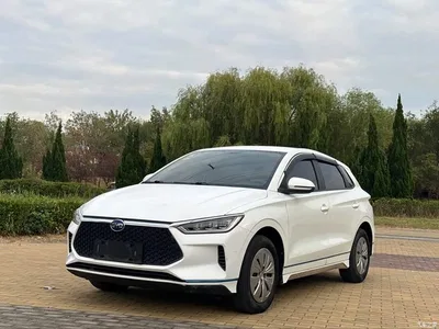2019 BYD e2 Standard Range Yue·Standard Model, фото 1, лот 11538717