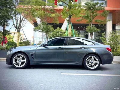 2017 BMW 4 Series 425i Gran Coupe Leading M Sport Package, фото 4, лот 10468325