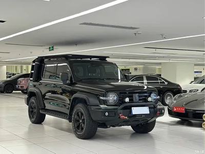 2021 Tank 300 Off-road Version 2.0T Conqueror, фото 3, лот 11438069