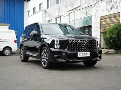 2024 GAC Trumpchi Trumpchi GS8 Navigator Series 2.0TGDI 2WD Luxury Smart Connect Edition, фото 3, лот 10414895