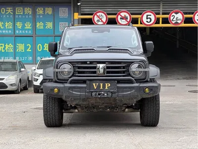 2024 Tank 300 Model 330 3.0T V6, фото 2, лот 11175205
