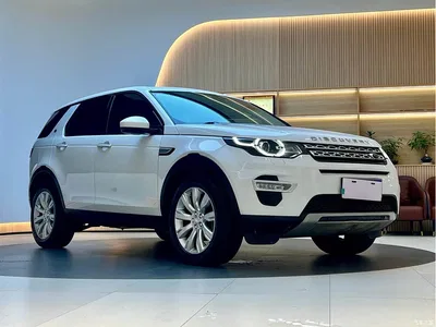 2016 Land Rover Discovery Sport 2.0T HSE LUXURY, фото 3, лот 10325083