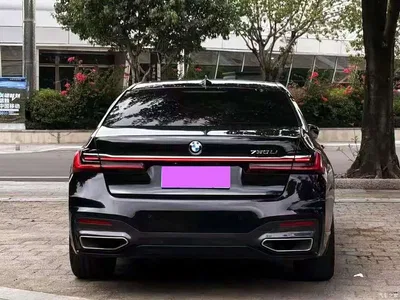 2019 BMW 7 Series 730Li M Sport Package, фото 3, лот 10394267