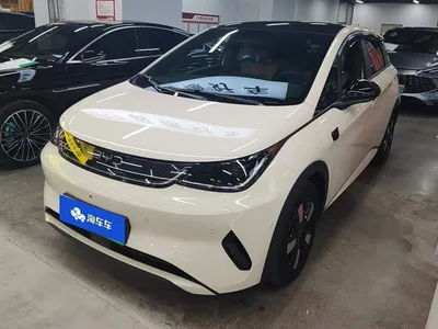 2025 BYD Dolphin Smart Drive Edition 410km Fashion Version, фото 2, лот 11201689
