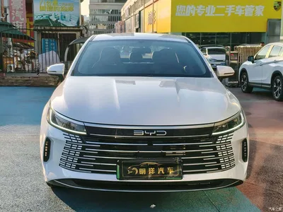 2024 BYD Destroyer 05 Glory Edition DM-i 55KM Luxury, фото 3, лот 10254621