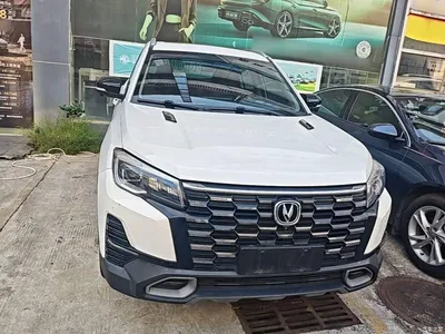 2024 Changan CS75 Enjoy Edition 1.5T DCT Premium, фото 3, лот 11220081