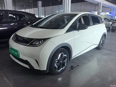 2025 BYD Dolphin 420km Vitality Edition, фото 2, лот 10260454