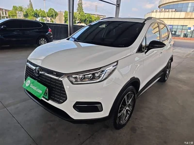 2019 BYD Yuan New Energy EV535 High Energy Navigation Edition, фото 1, лот 10272632