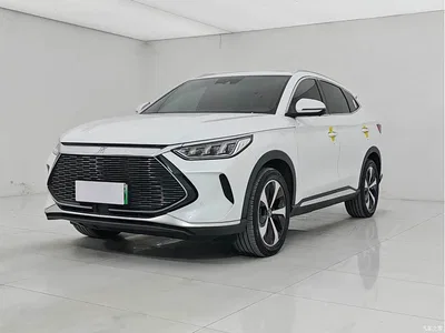 2021 Byd Song Plus, фото 1, лот 10244984