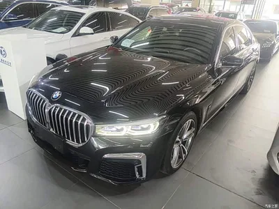 2019 BMW 7 Series 730Li M Sport Package, фото 1, лот 10459555