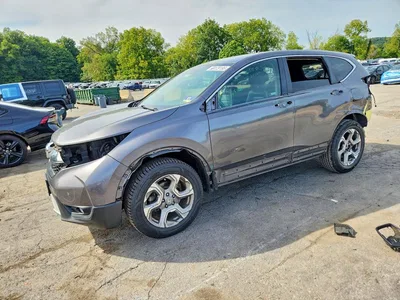 2019 HONDA CR-V EXL, фото 1, лот 10721536