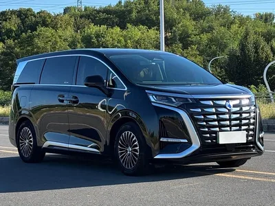 2024 Denza D9 DM-i 980 AWD Prestige, фото 3, лот 10346497