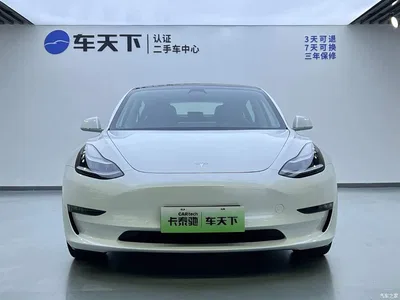 2019 Tesla Model 3 (Import) Long Range All-Wheel Drive Edition, фото 3, лот 11018579