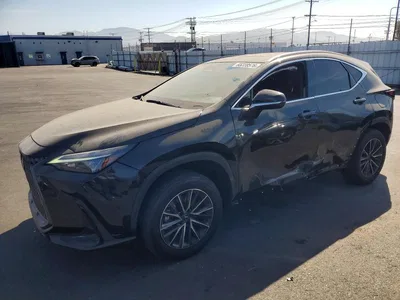 2024 LEXUS 350, фото 1, лот 10845474