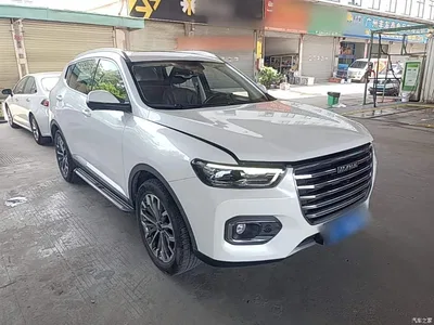 2020 Haval H6 1.5GDIT Automatic Platinum Luxury Edition, фото 4, лот 10286920