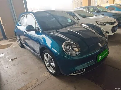 2023 Ora Good Cat 401km Standard Range Premium LFP, фото 4, лот 10330804