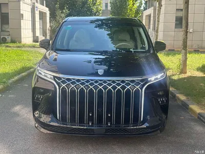 2024 Dongfeng Starlight V9 1.5TD 200km Chinese Knot Series Exclusive, фото 2, лот 11160718