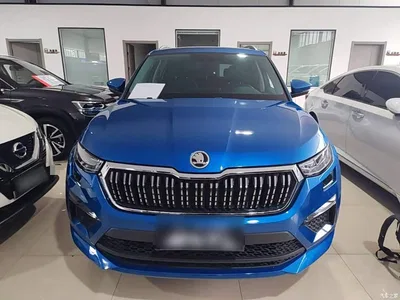 2024 Škoda Kodiaq TSI330 5-Seat Front-Wheel Drive Power Edition, фото 3, лот 10451361