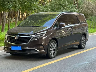 2021 Buick GL8 ES Landlord 653T Luxury, фото 1, лот 10256605
