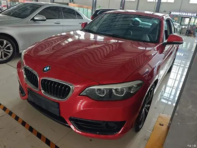 2018 BMW 2 Series (Import) 220i Sport Design Package, фото 1, лот 10471516
