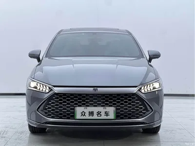 2023 BYD Qin PLUS Champion Edition DM-i 120KM Surpassing Type, фото 2, лот 10448941
