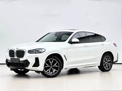 2022 BMW X4 xDrive 25i M Sport Package, фото 1, лот 10476799