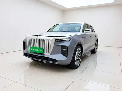 2022 Hongqi E-HS9 660km Qi Ling Edition (4-seater), фото 1, лот 11189621