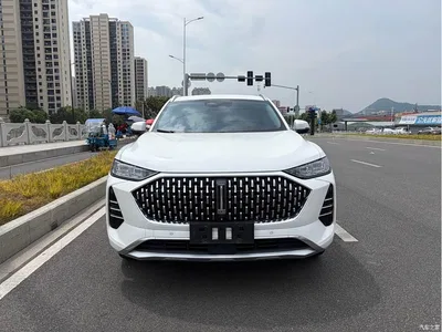 2021 WEY Mocha 2.0T 2WD Premium Edition, фото 2, лот 11150223