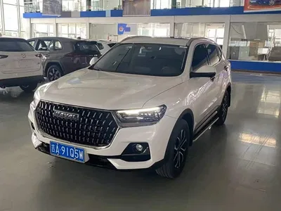 2023 Haval H6 National Trend Edition 1.5T Automatic Champion, фото 1, лот 11199575