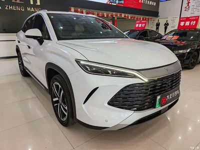 2024 BYD Song L DM-i 112km Superior, фото 3, лот 10273584
