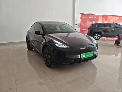 2022 Tesla Model Y Facelift Rear-Wheel Drive Version, фото 4, лот 10621390
