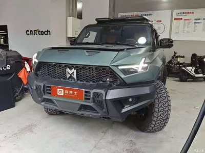 2023 Mengshi 917 Extended Range Base Version, фото 1, лот 11643841