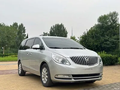 2013 Buick GL8 3.0L XT Luxury Business Flagship Edition, фото 3, лот 11415315