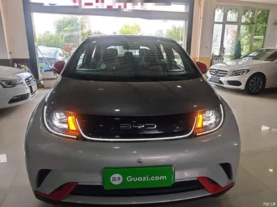 2021 BYD Dolphin 405km Freedom Edition, фото 3, лот 10263932