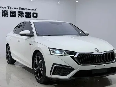 2022 Škoda Octavia PRO TSI280 Luxury Edition, фото 3, лот 10349559