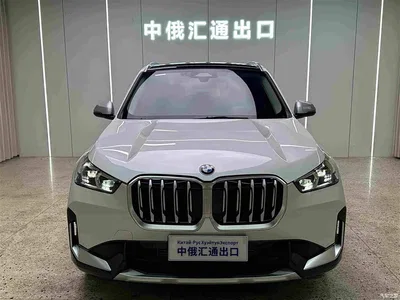 2023 BMW X1 sDrive20Li X Design Package, фото 3, лот 10466375