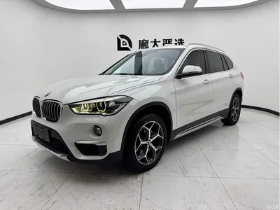 2019 BMW X1 xDrive20Li Premium Model, фото 1, лот 10466209
