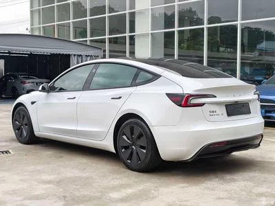 2023 Tesla Model 3 Rear-Wheel Drive, фото 3, лот 10352325