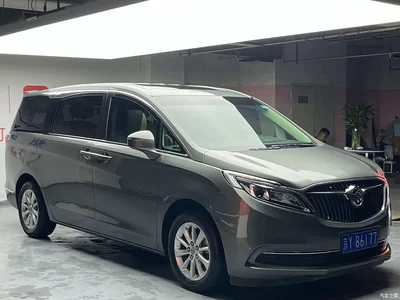 2018 Buick GL8, фото 2, лот 10243473
