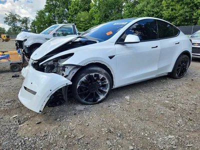 2020 TESLA MODEL Y, фото 1, лот 10852828