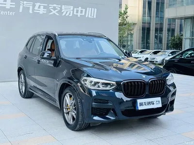 2019 BMW X3 xDrive30i Leading M Sport Package, фото 3, лот 10407549