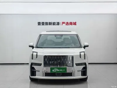 2022 ZEEKR 009 ME Edition, фото 2, лот 10291447