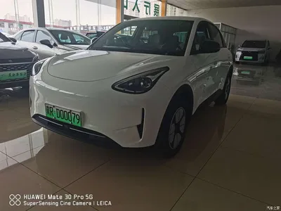 2025 Geely Galaxy Starry Wish 310km Youth Edition, фото 1, лот 10834724